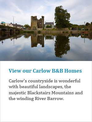 View our Carlow B&Bs on Ireland's Ancient Eas