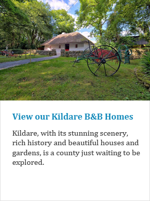 View our Kildare B&Bs on Ireland's Ancient Eas
