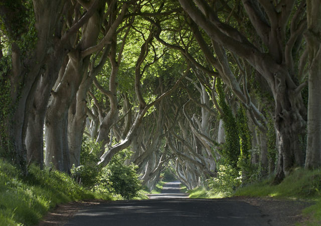 Game of Thrones Locations in Northern Ireland