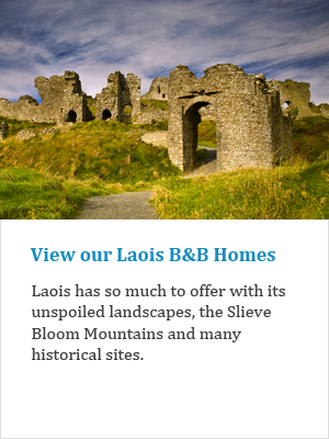 View our Laois B&Bs on Ireland's Ancient Eas