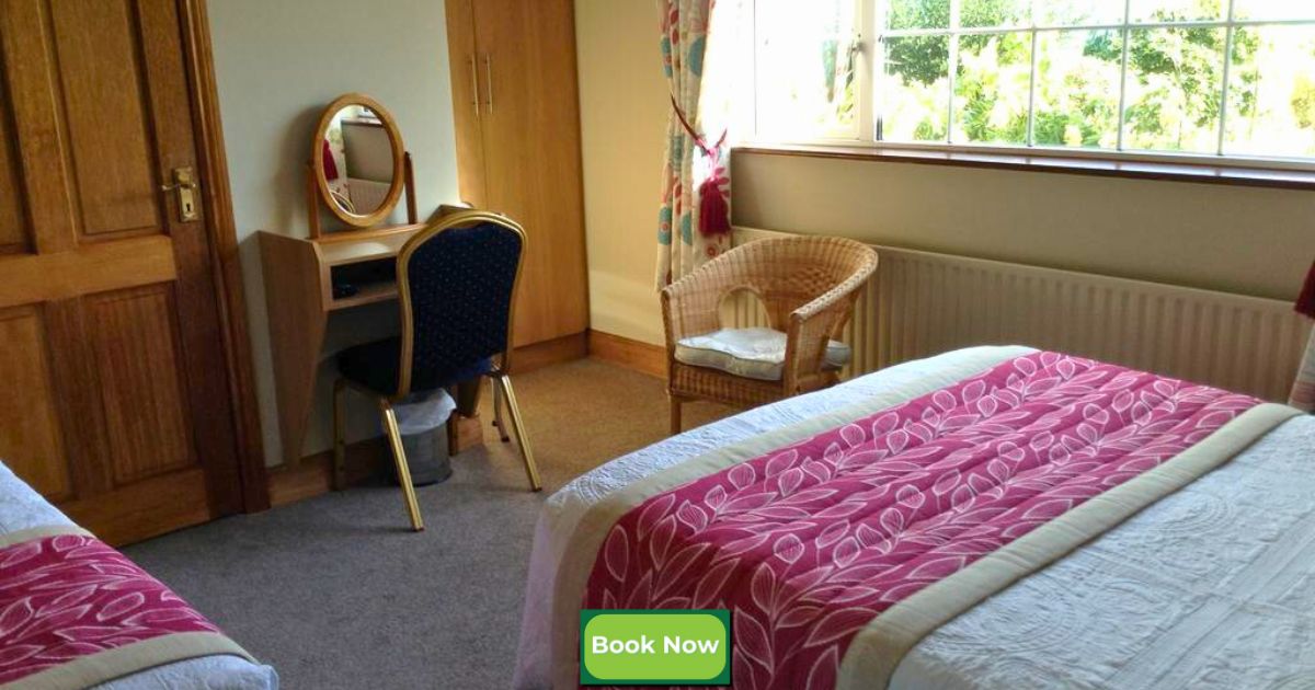 Guests share their B&B experiences