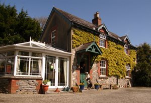 Druid Cottage