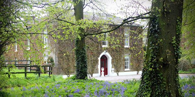 February B&B guest reviews - book Bansha House b&b