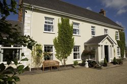 Experience True Hospitality in an Irish B&B Home
