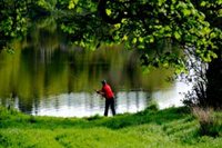 Search for B&B Accommodation near Lough Muckno Monaghan