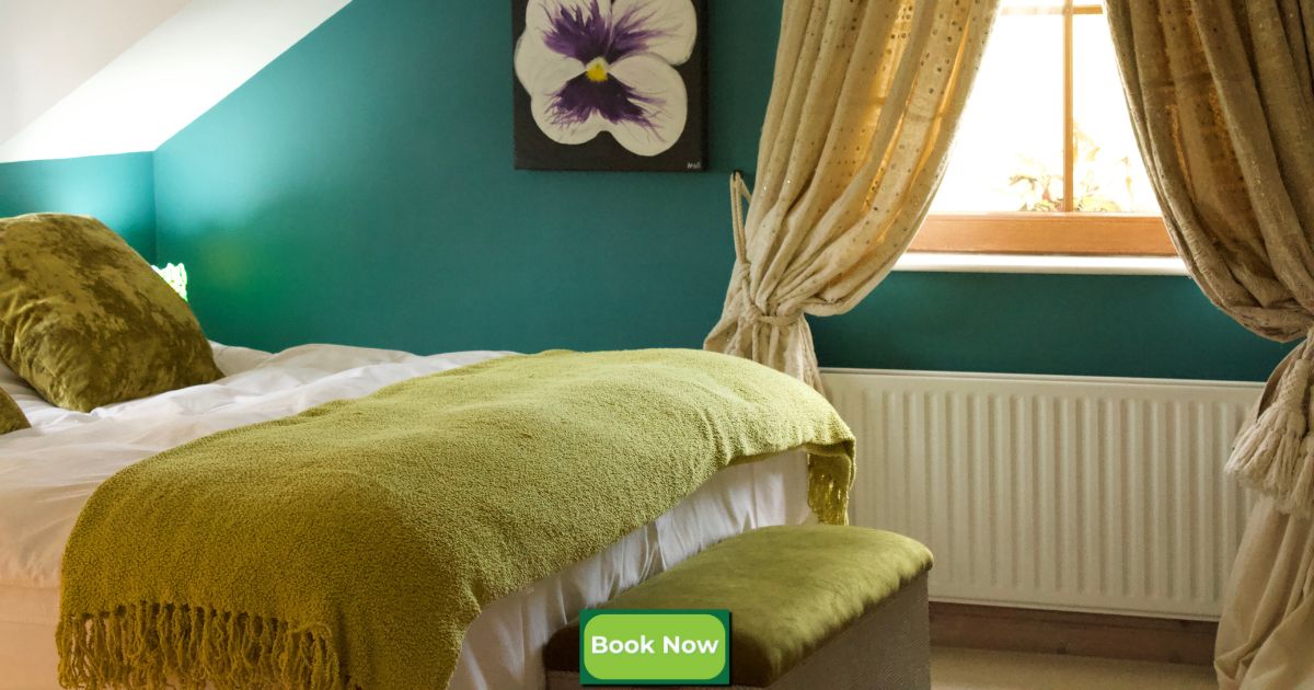 Guests share their B&B experiences