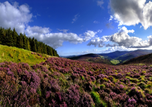 Wicklow Mountains