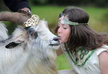 Summer Festivals in Ireland