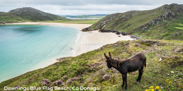 Downings Blue Flag Beach in County Donegal