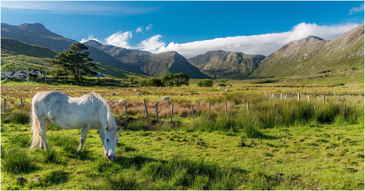 Connemara National Park, Galway