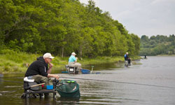 Search for an anglers welcome bed and breakfast