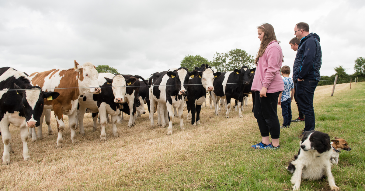 Take a tour of the farm