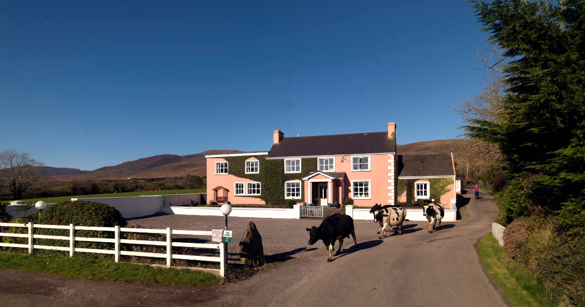 Book a Farmstay B&B Experience