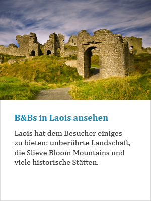 B&Bs in Laois ansehen