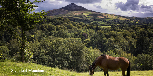 Wonderful walking trails in Ireland - Sugarloaf Mountain walking trail