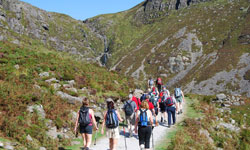 Search for a Walkers Welcome B&B in Ireland