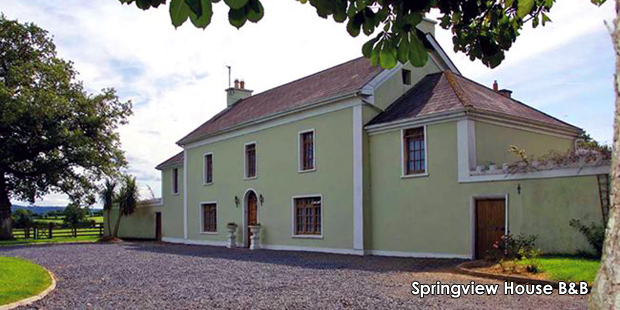 B&B of the Year Springview House B&B, Kilkenny