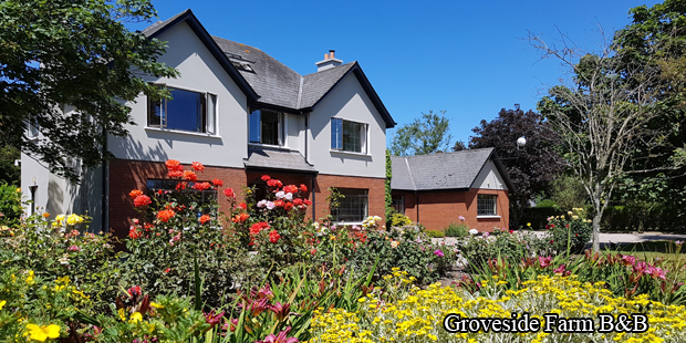 May B&B guest reviews - Groveside Farm B&B