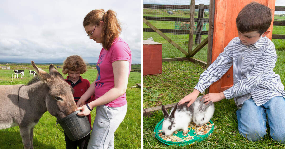 Farmstay B&B Ireland holidays