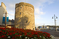 The Historic South Reginalds Tower Waterford