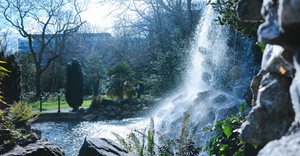 Iveagh Gardens