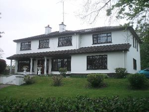 Elm Brook