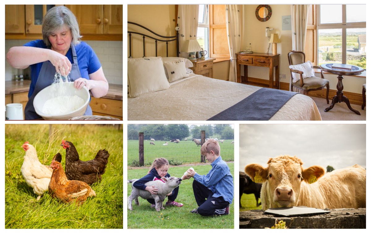 The Irish Farmstay B&B Experience