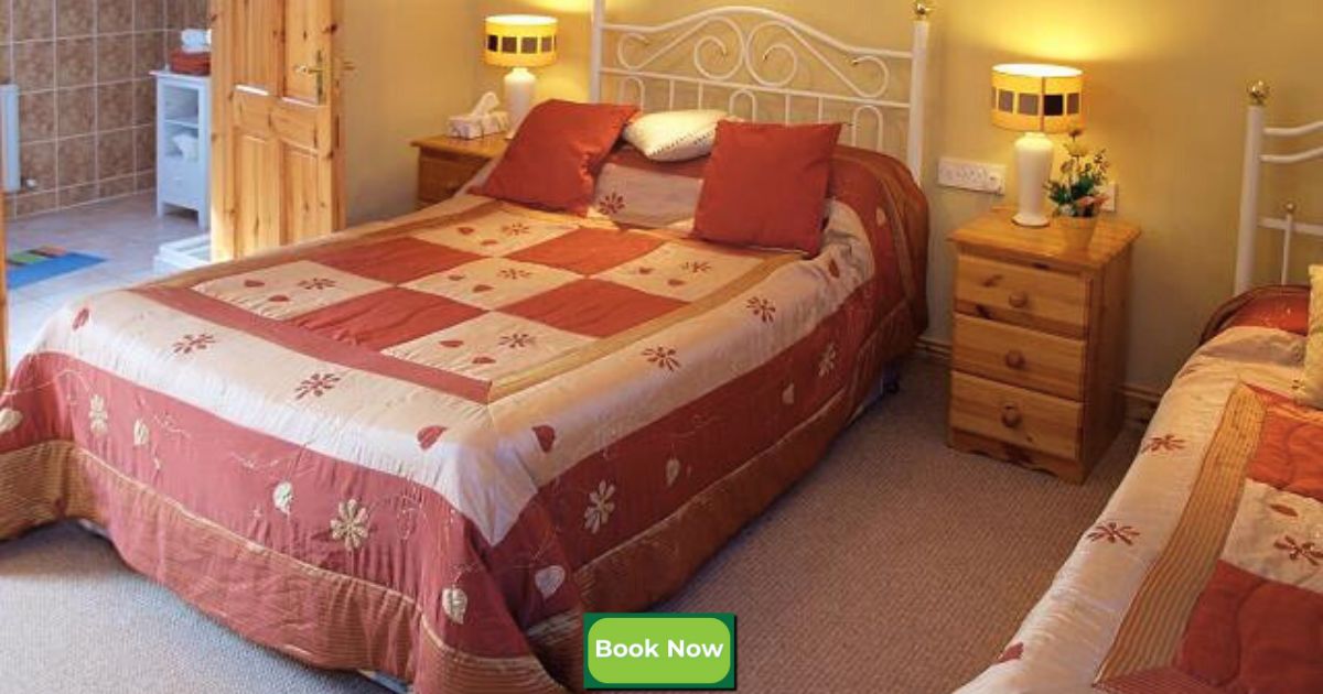 Guests share their B&B experiences