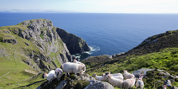Sliabh Liag in Donegal