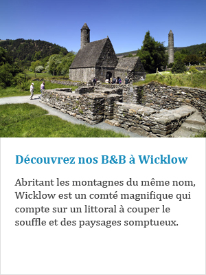 Découvrez nos B&B à Wicklow