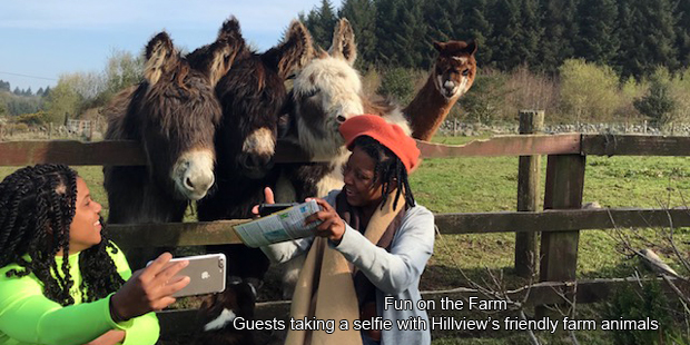 Hillview Farmhouse B&B - fun on the farm