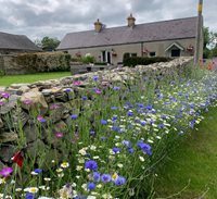 BRAMBLE COTTAGE