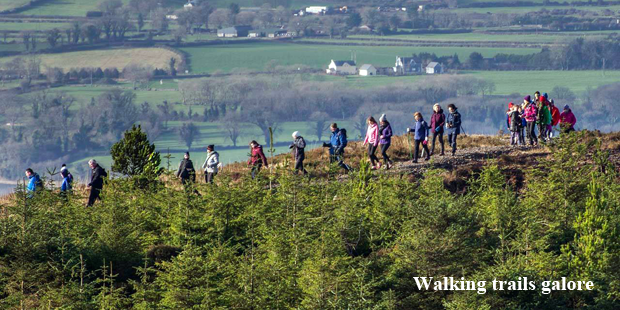 Hillview Farmhouse walking trails galore