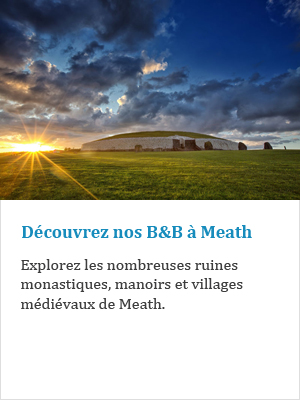 Découvrez nos B&B à Meath