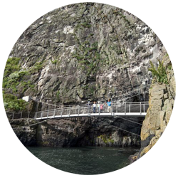 The Gobbins Cliff Path